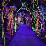 Meow Wolf Santa Fe | House of Eternal Return
