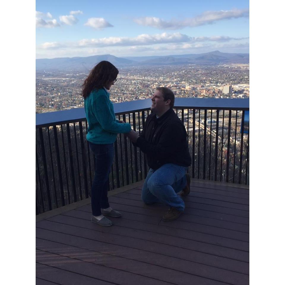 The Proposal