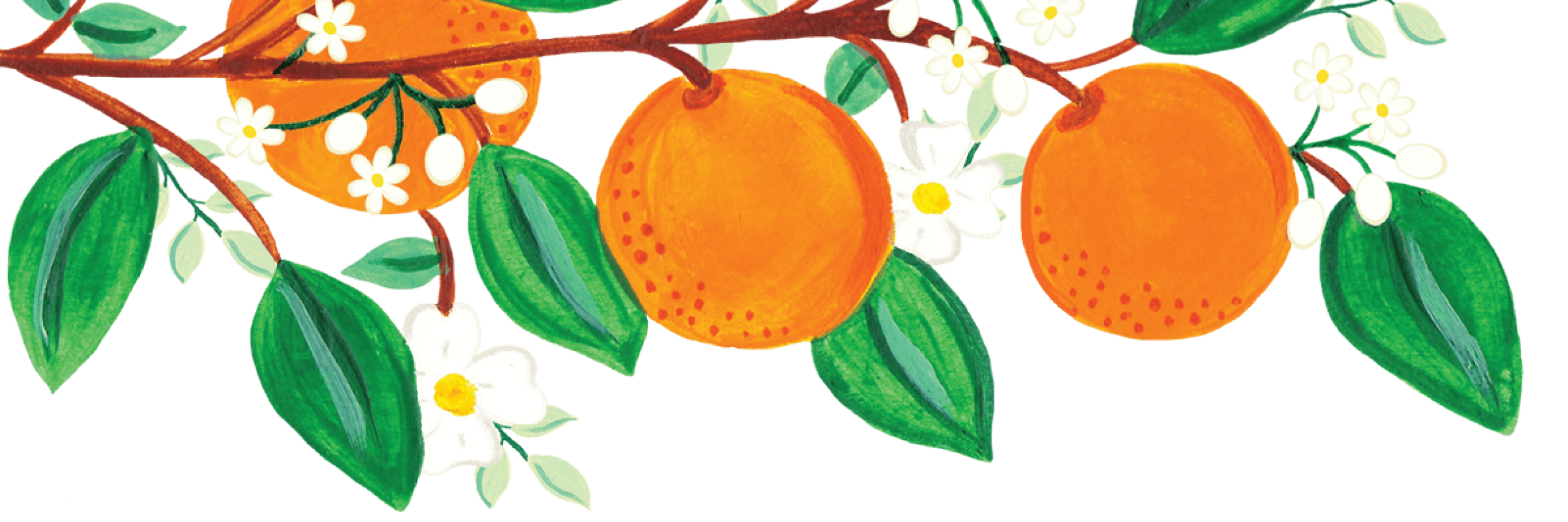 oranges