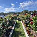 Dahlia Gardens & Monuments
