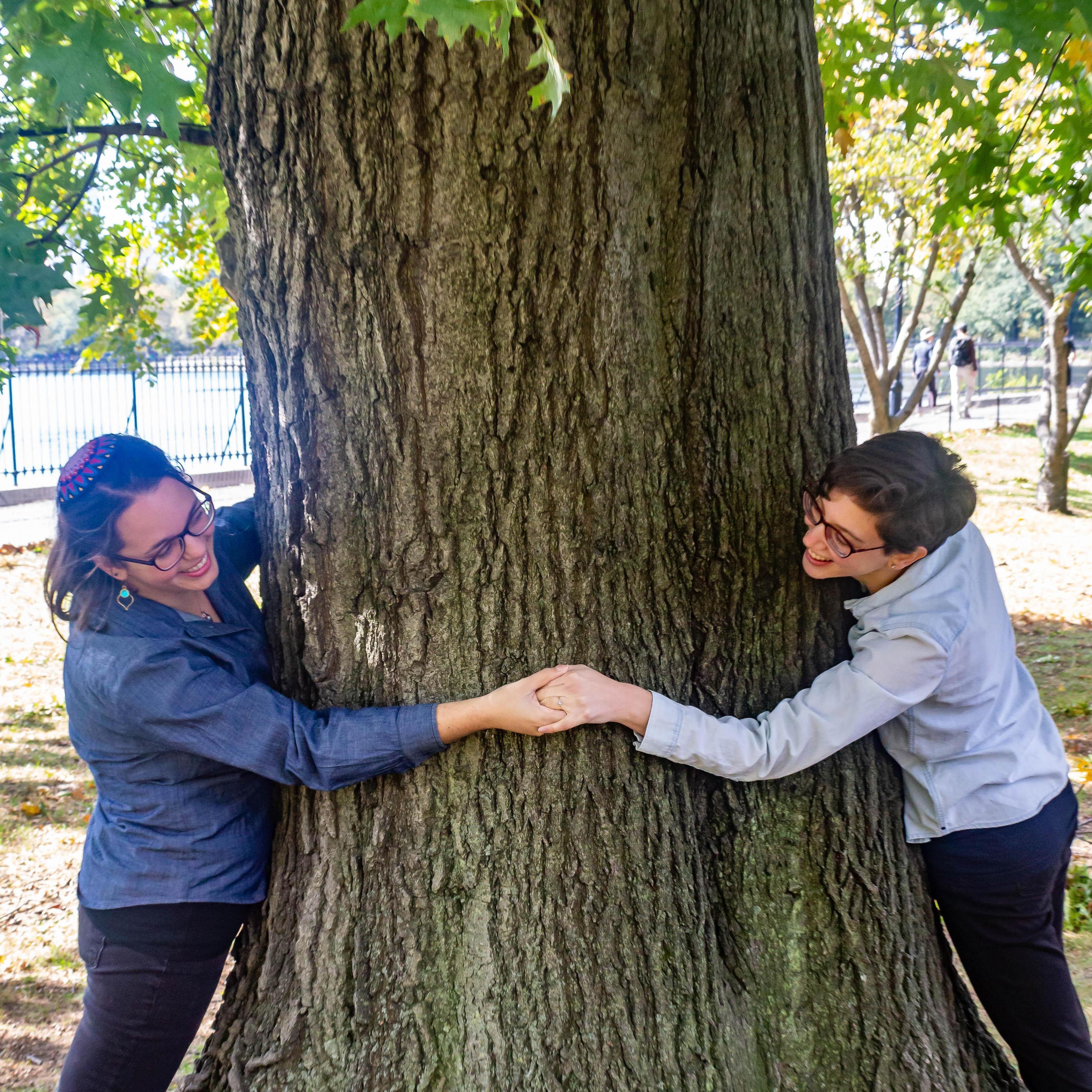 Tree huggers