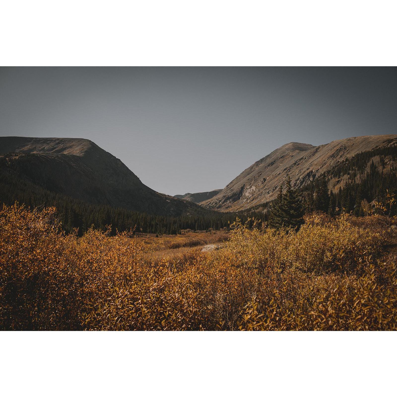 The beginning of Colorado fall colors