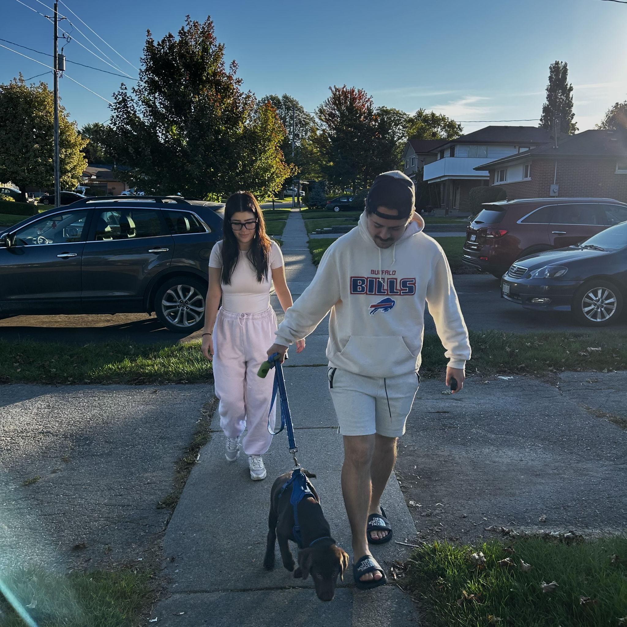this is how we've been spending most of our days lately, trying to tame our psycho chocolate lab puppy