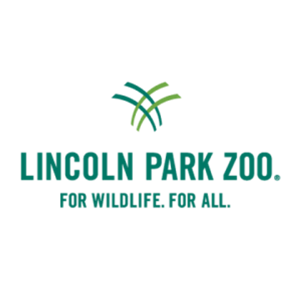 Nowanti @ Lincoln Park Zoo