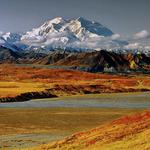 Denali National Park and Preserve (Hike)