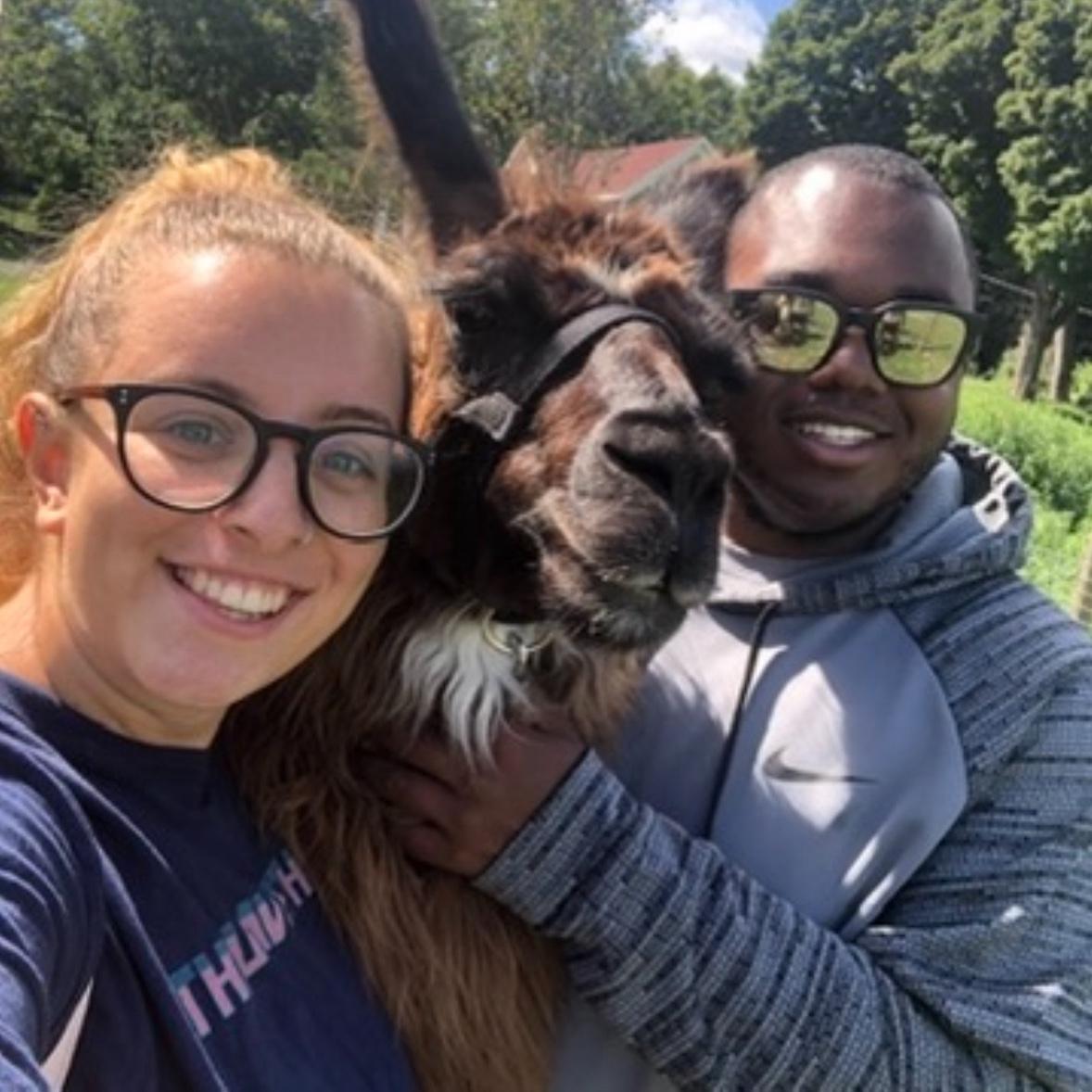 First time visiting Alpacas