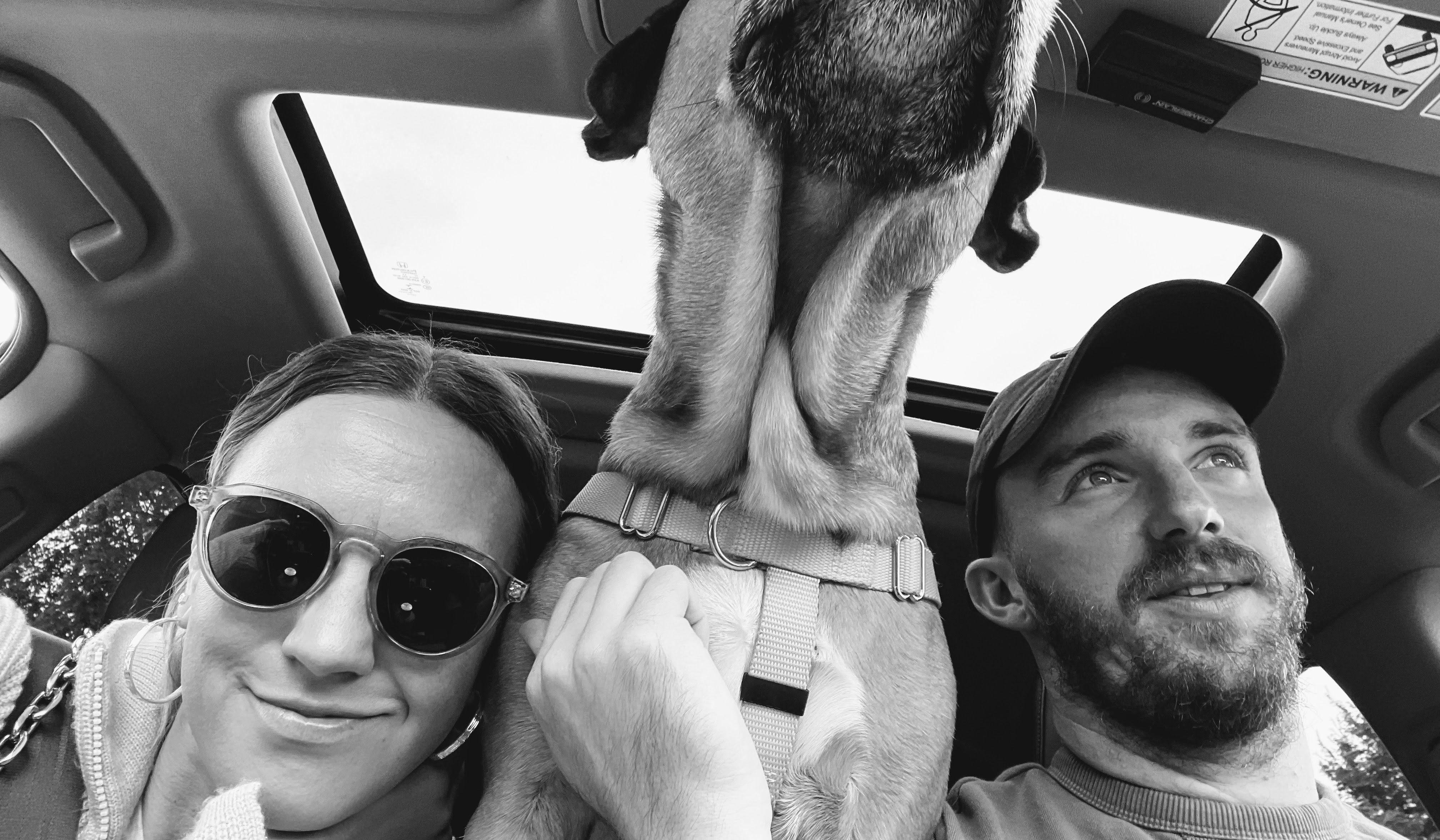 annie-flanagan-and-patrick-hugasian-s-wedding-website