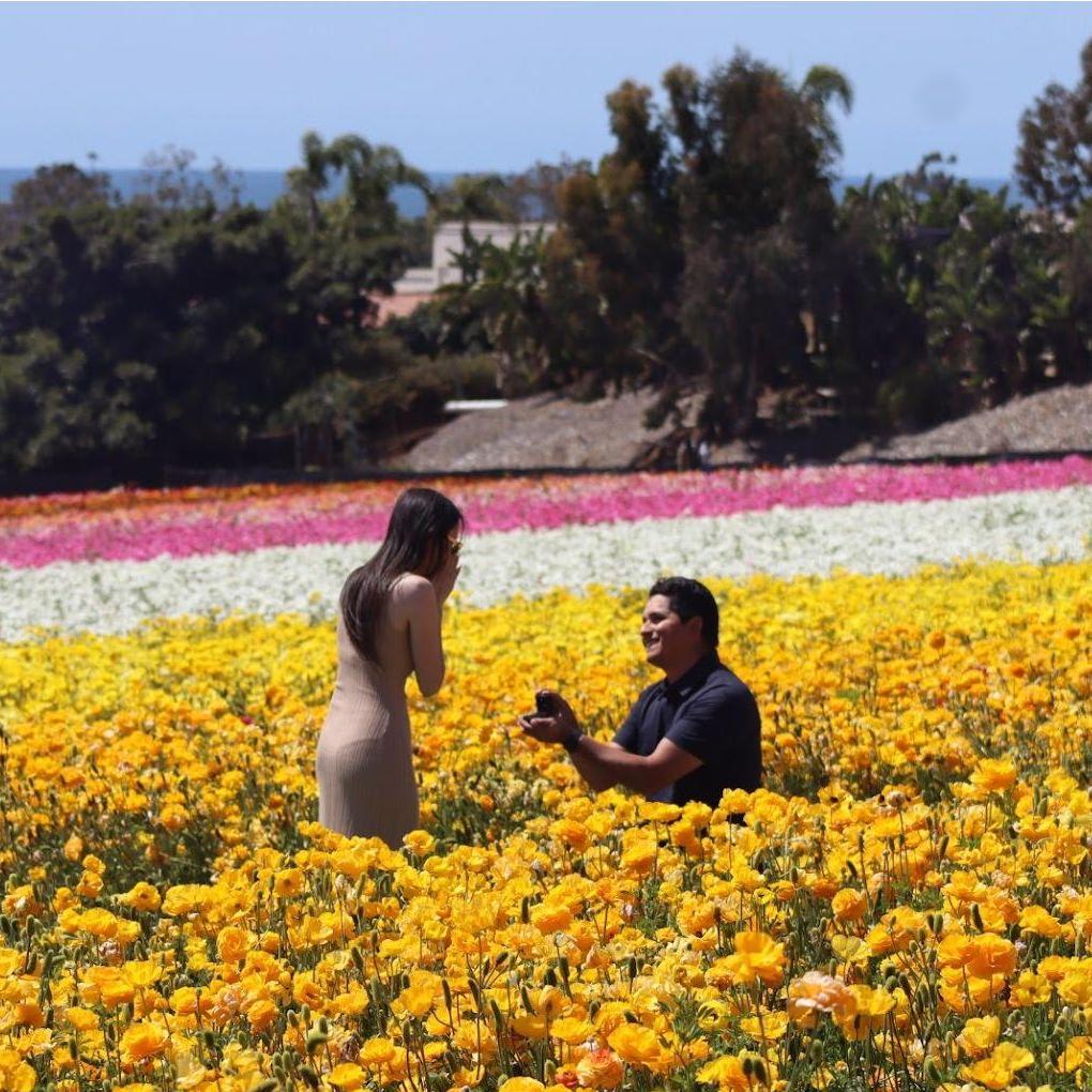 Dave popping the question