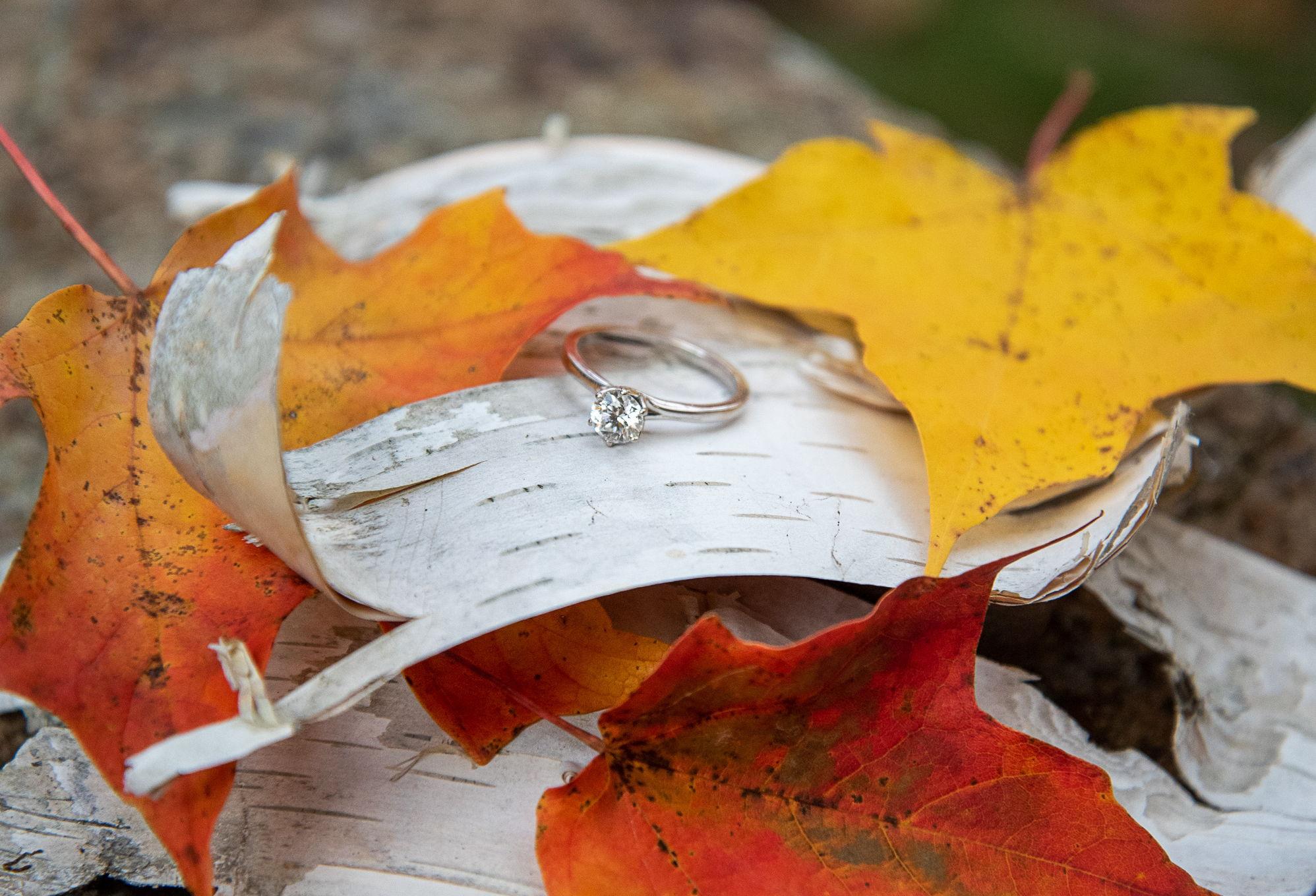 The Wedding Website of Ashley Paige and Malachi Swenson