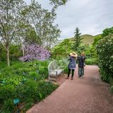 Outing: Red Butte Garden and Arboretum