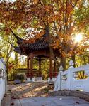 Missouri Botanical Gardens