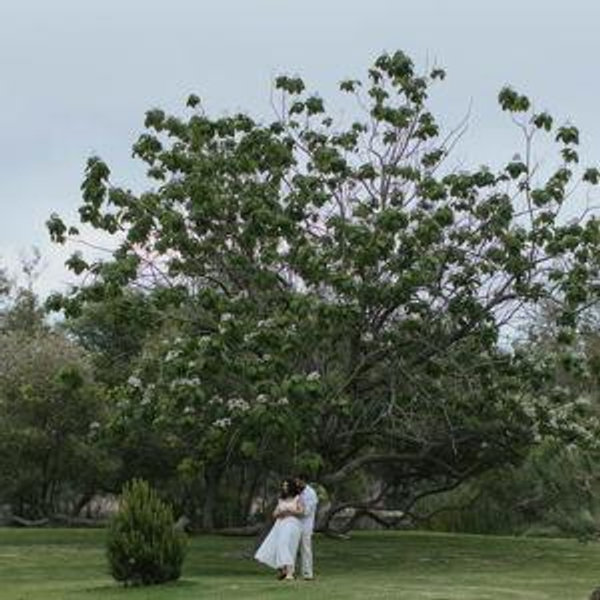 Our newlywed fund
