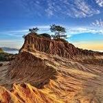 Torrey Pines State Reserve