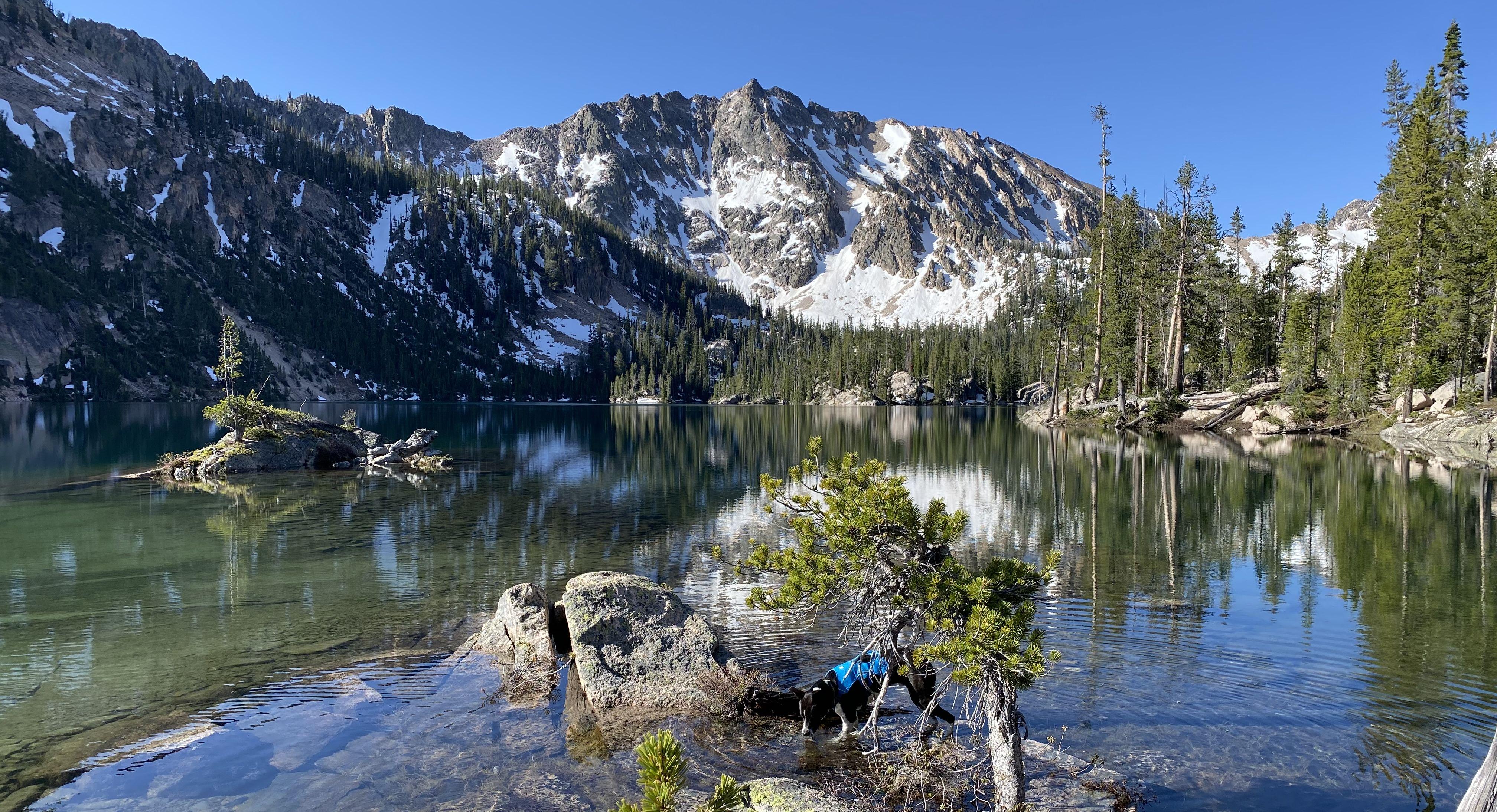 The Wedding Website of Skye Woodhouse and Matthiew Morin