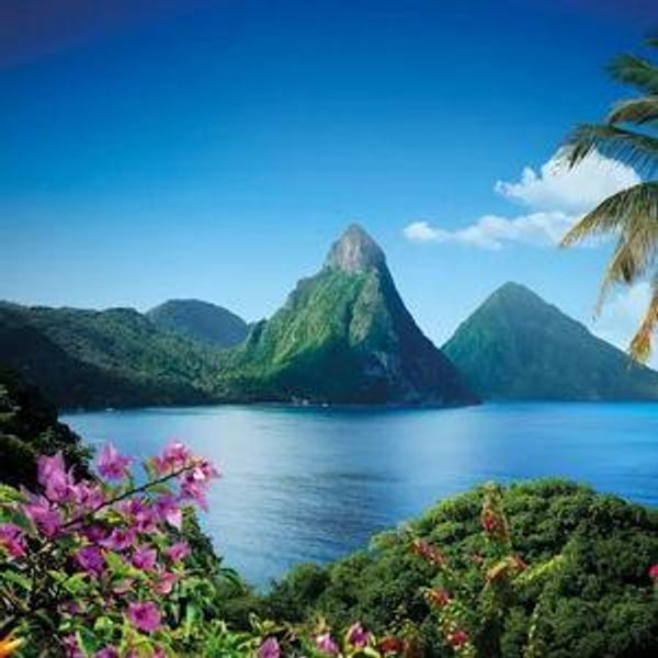 Island Tour