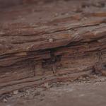 Grand Wash Trailhead