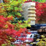 The Dallas Arboretum and Botanical Garden