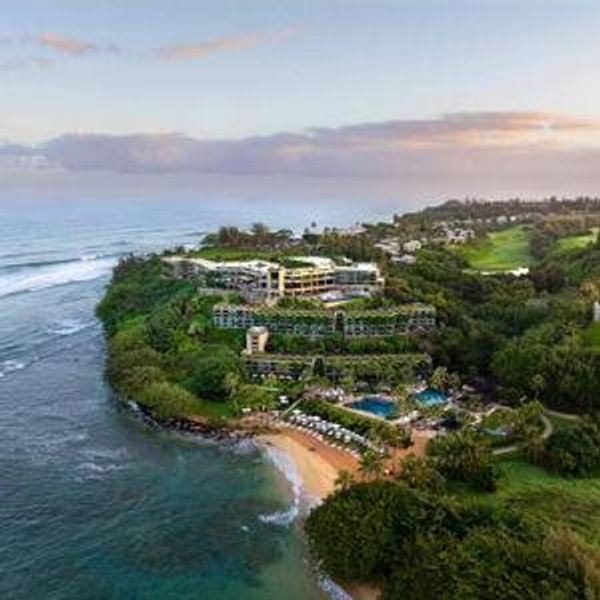 Love is Free, Honeymoons are not