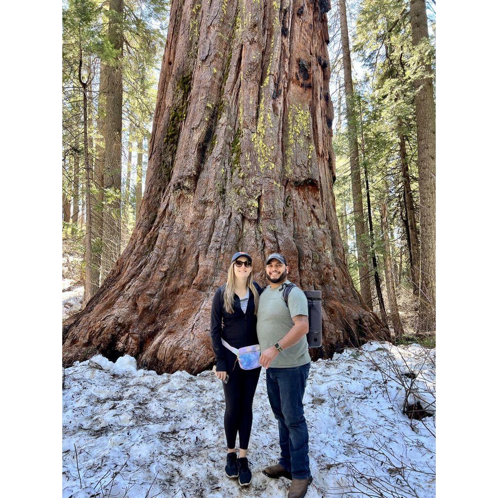 Calaveras Big Trees State Park