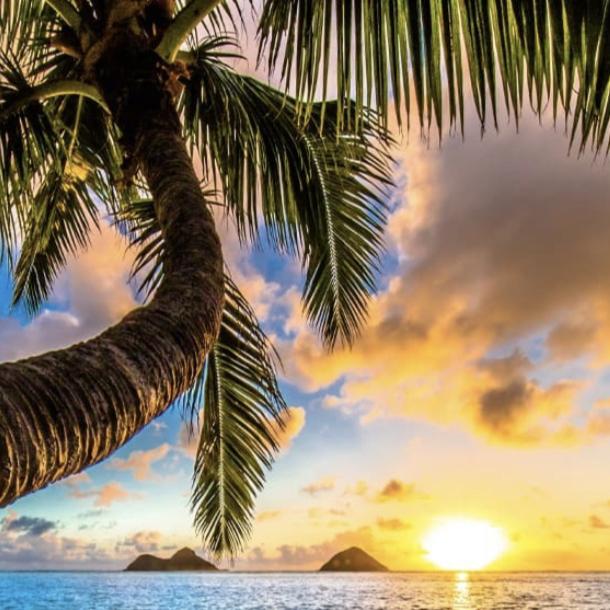 Hawaiian Honeymoon Fund