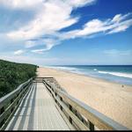 Canaveral National Seashore