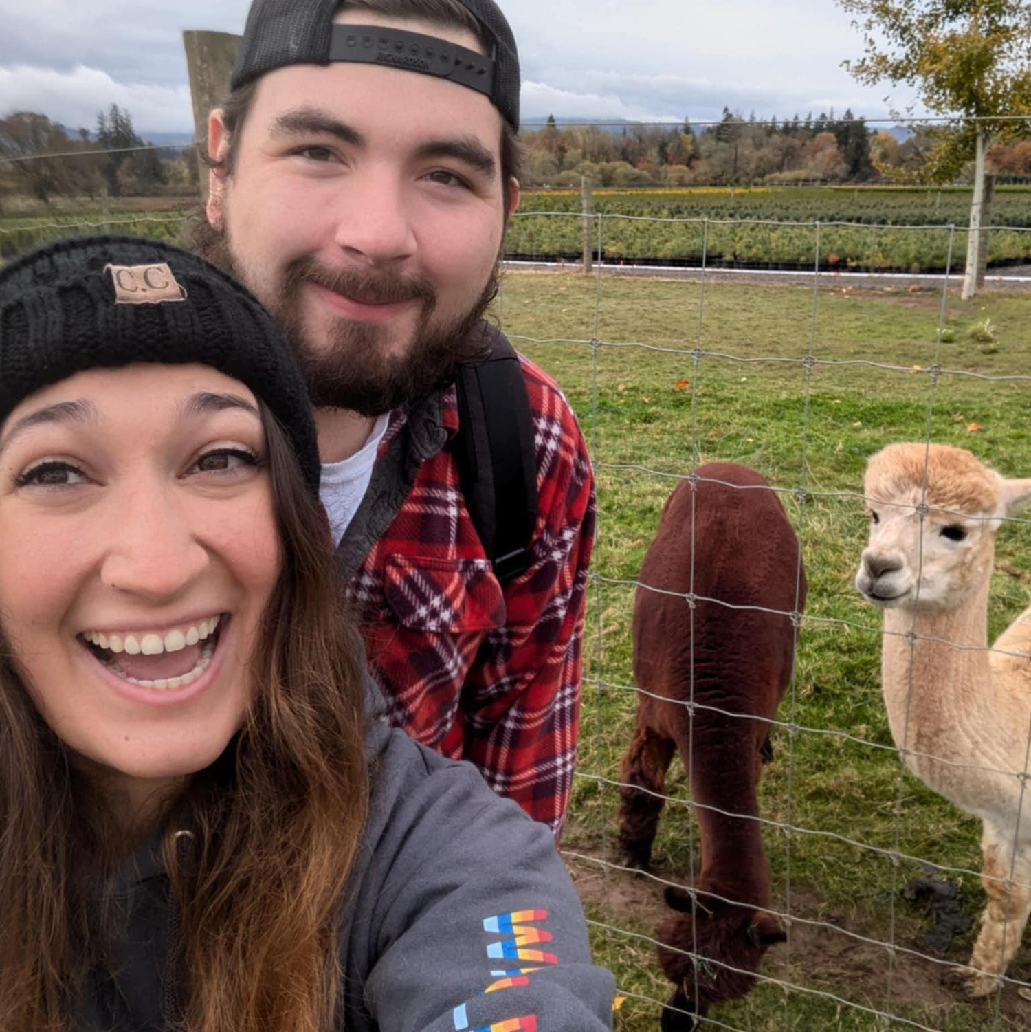 ALPACAAAAAAAS! (Actually taken at Oakwood Gardens for our 10 year anniversary. One of Coby's many wonderful surprise date weekends)