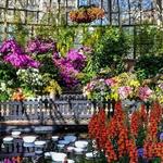 Lincoln Park Conservatory
