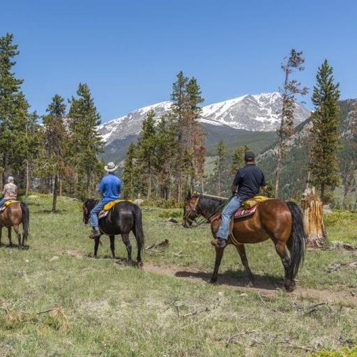 Horseback Riding In Rocky Mountain National Park