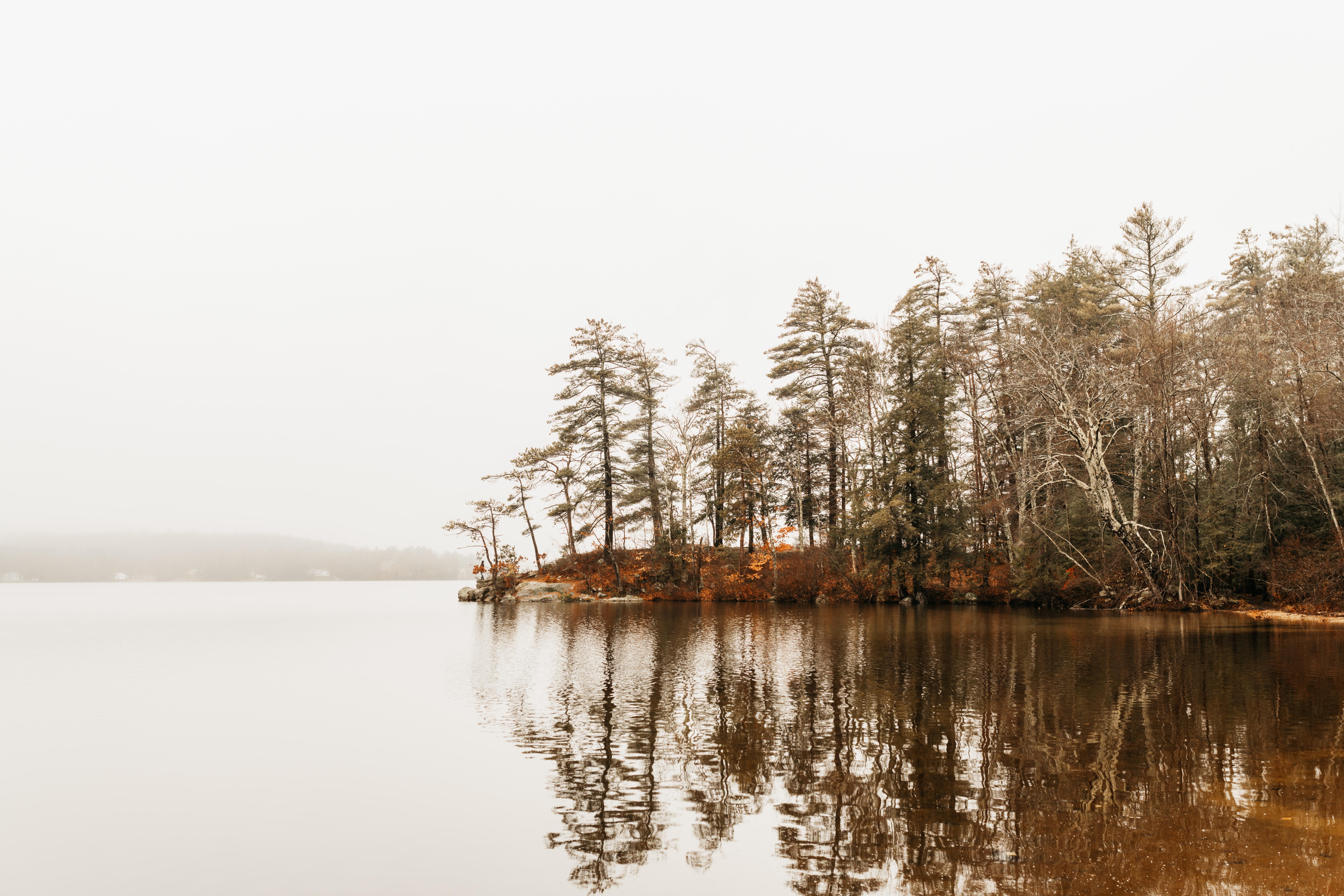 The Wedding Website of Bridget Annis and Cam Patridge