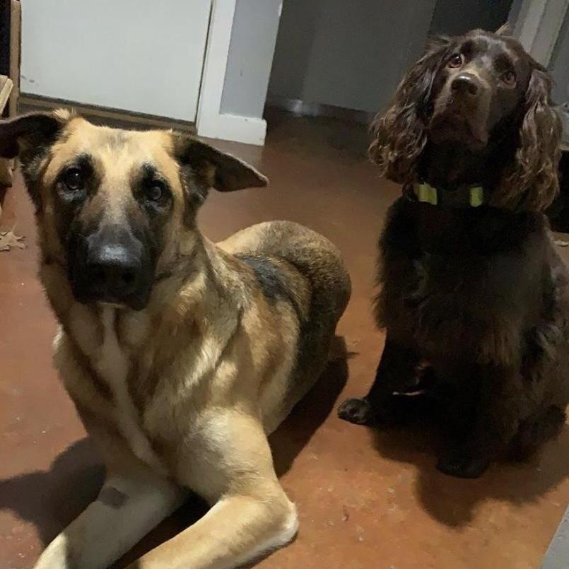 More of our girls