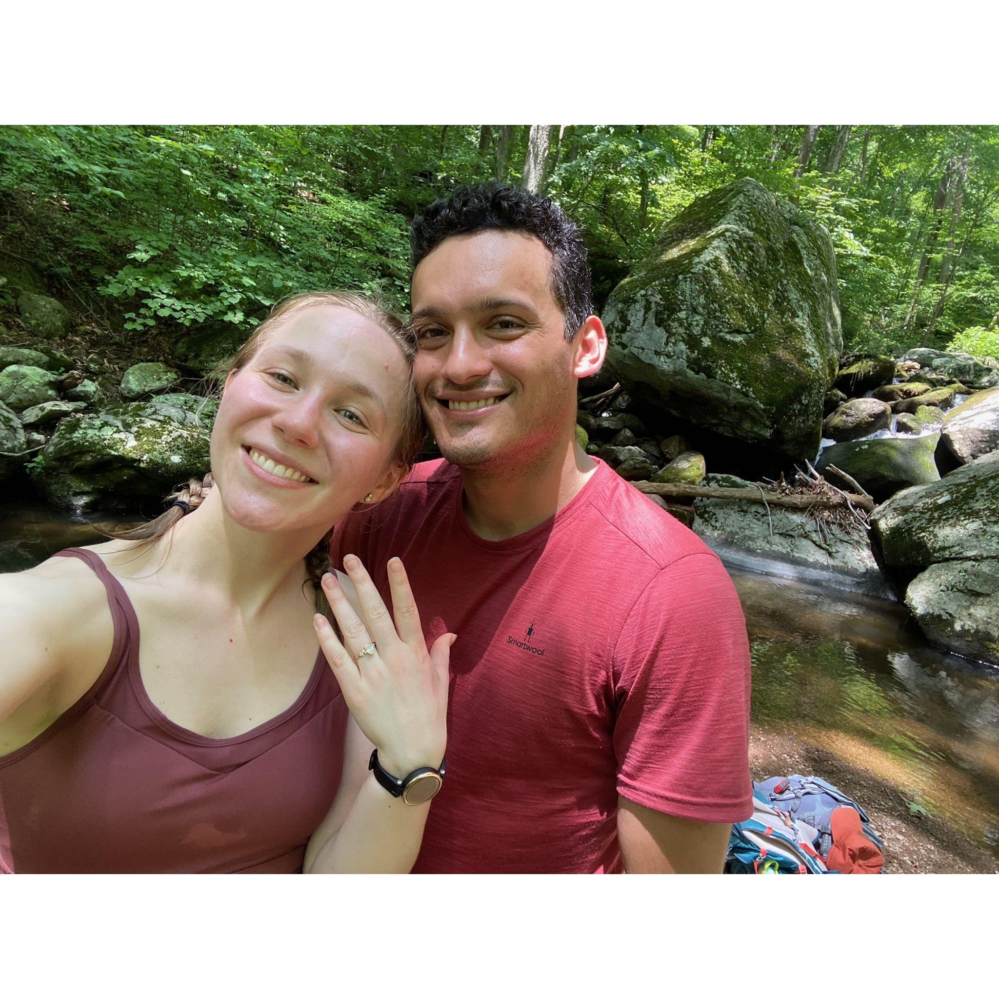 We're engaged!