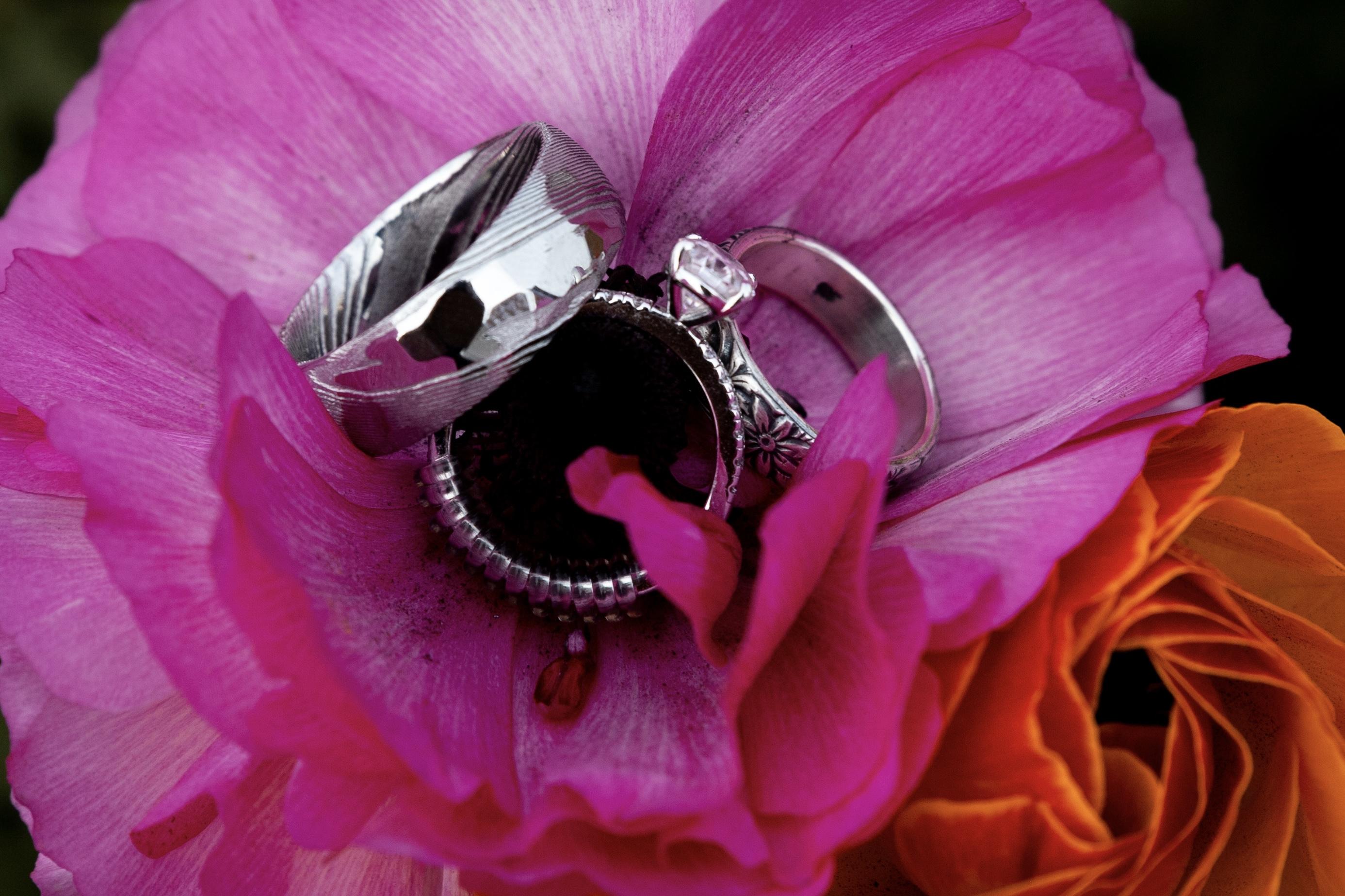 The Wedding Website of Laila Pickrell and Dylan Stephens
