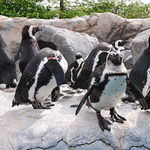 Mystic Aquarium