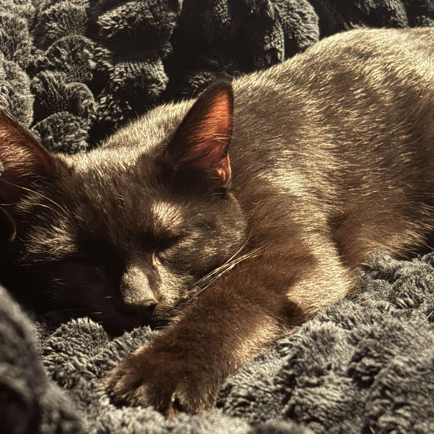 Our son!