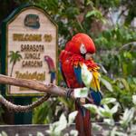 Sarasota Jungle Gardens