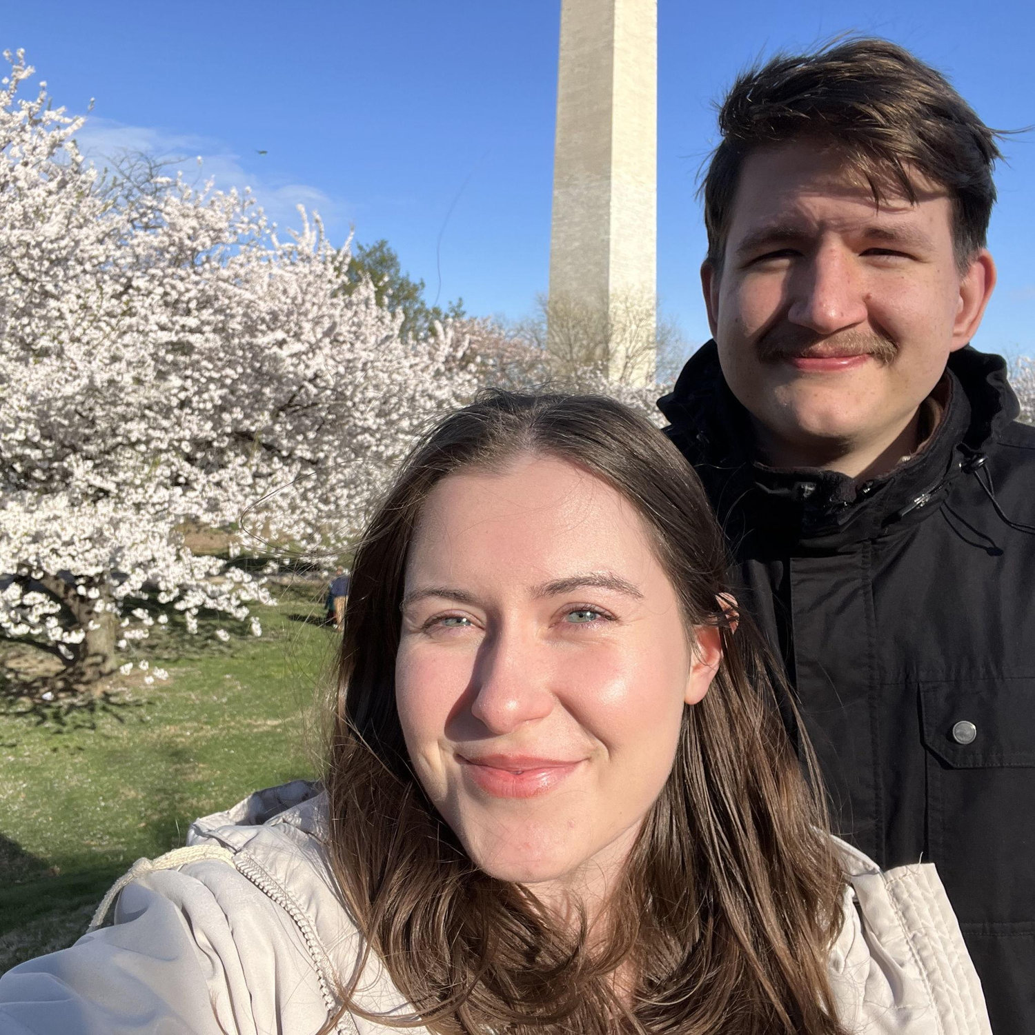 Cherry Blossoms in DC!