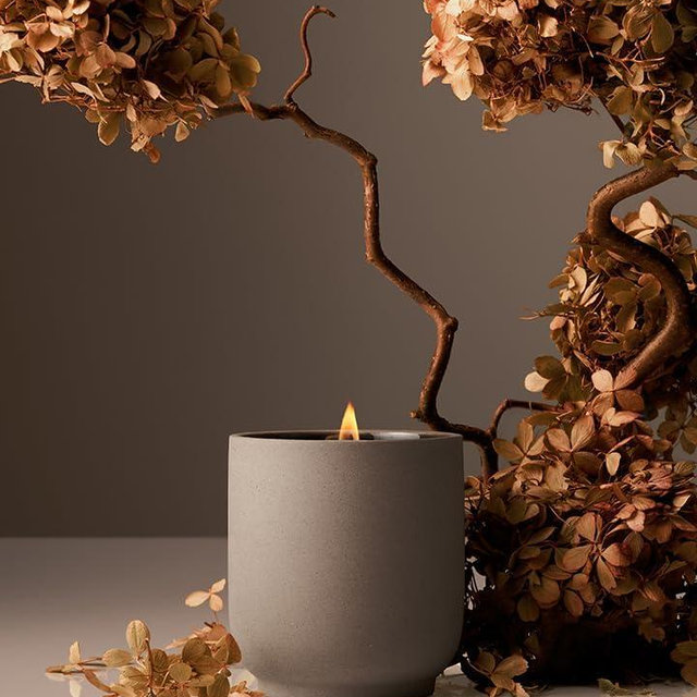 Homecourt Luxury Scented Candle, Cece Scent, 60-Hour Burn Time, Soy Wax Blend, Organic Cotton Wick, Kiln-Fired Reusable Ceramic Vessel, 8 Oz, 2.0