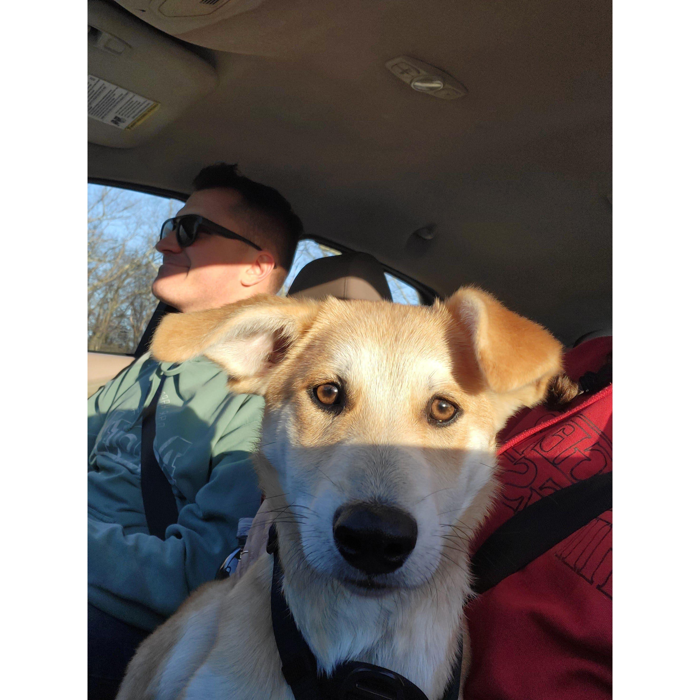 The Day we picked up Oscar.