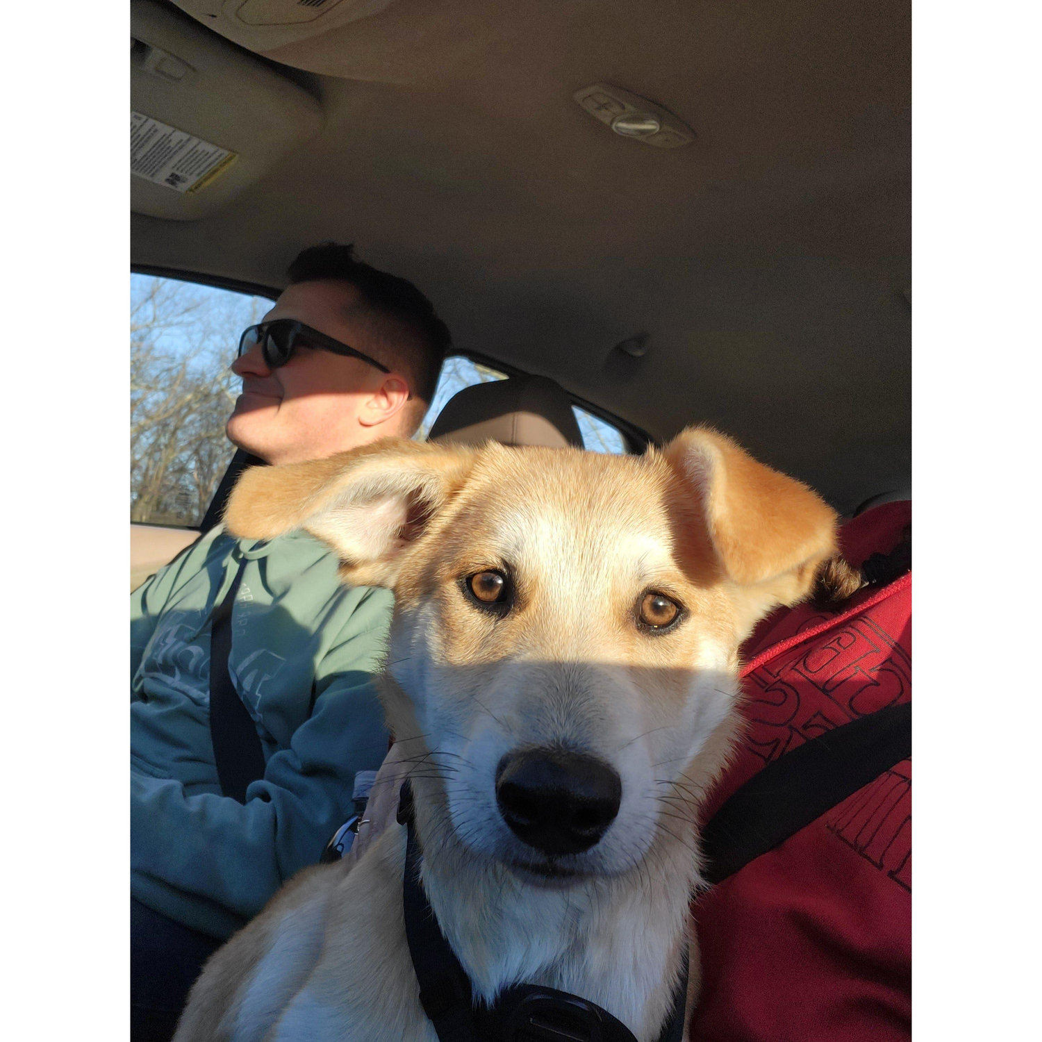 The Day we picked up Oscar.