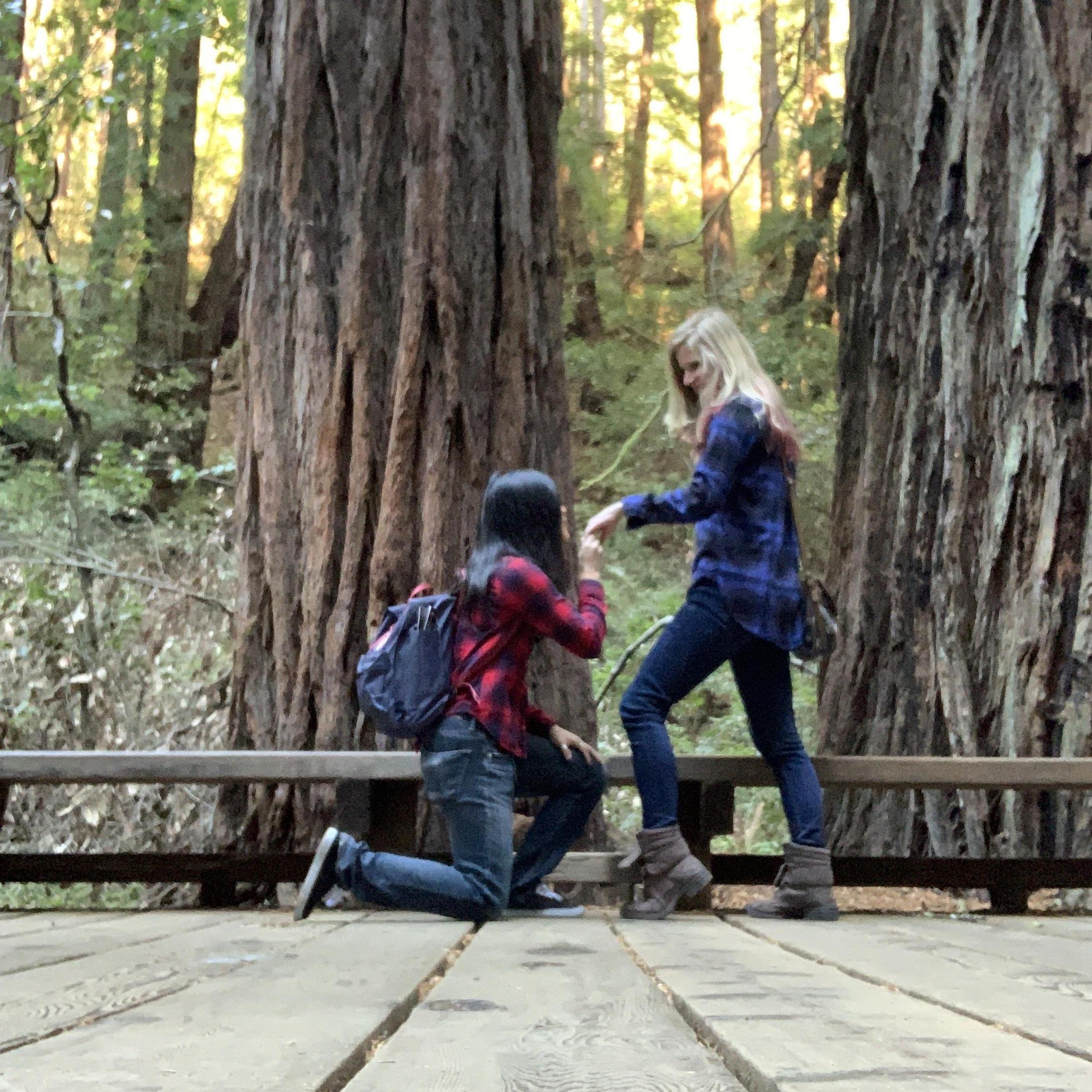 Fake proposal shoot at Muir Woods