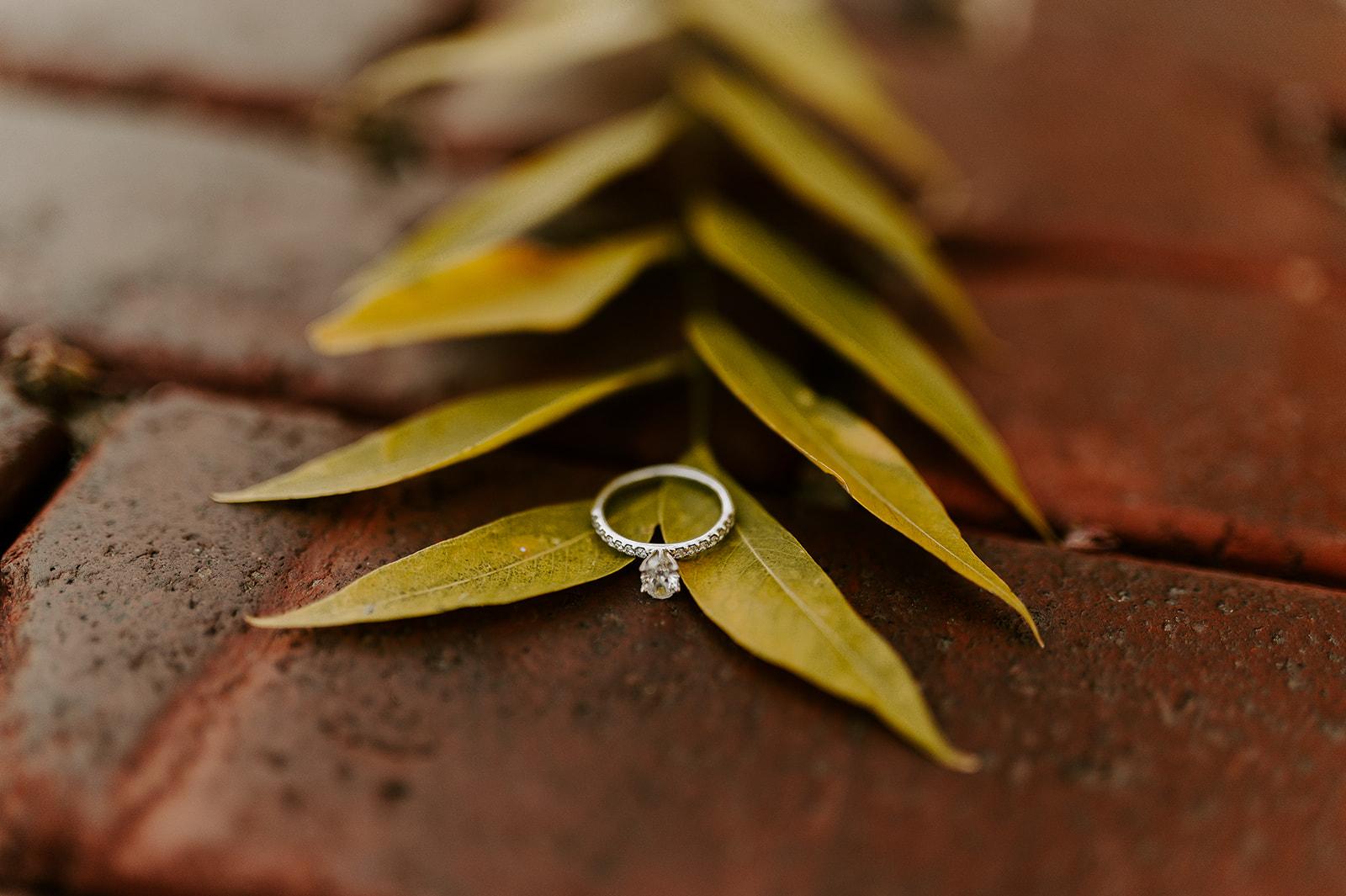 The Wedding Website of Avary Finch and Derek Roach