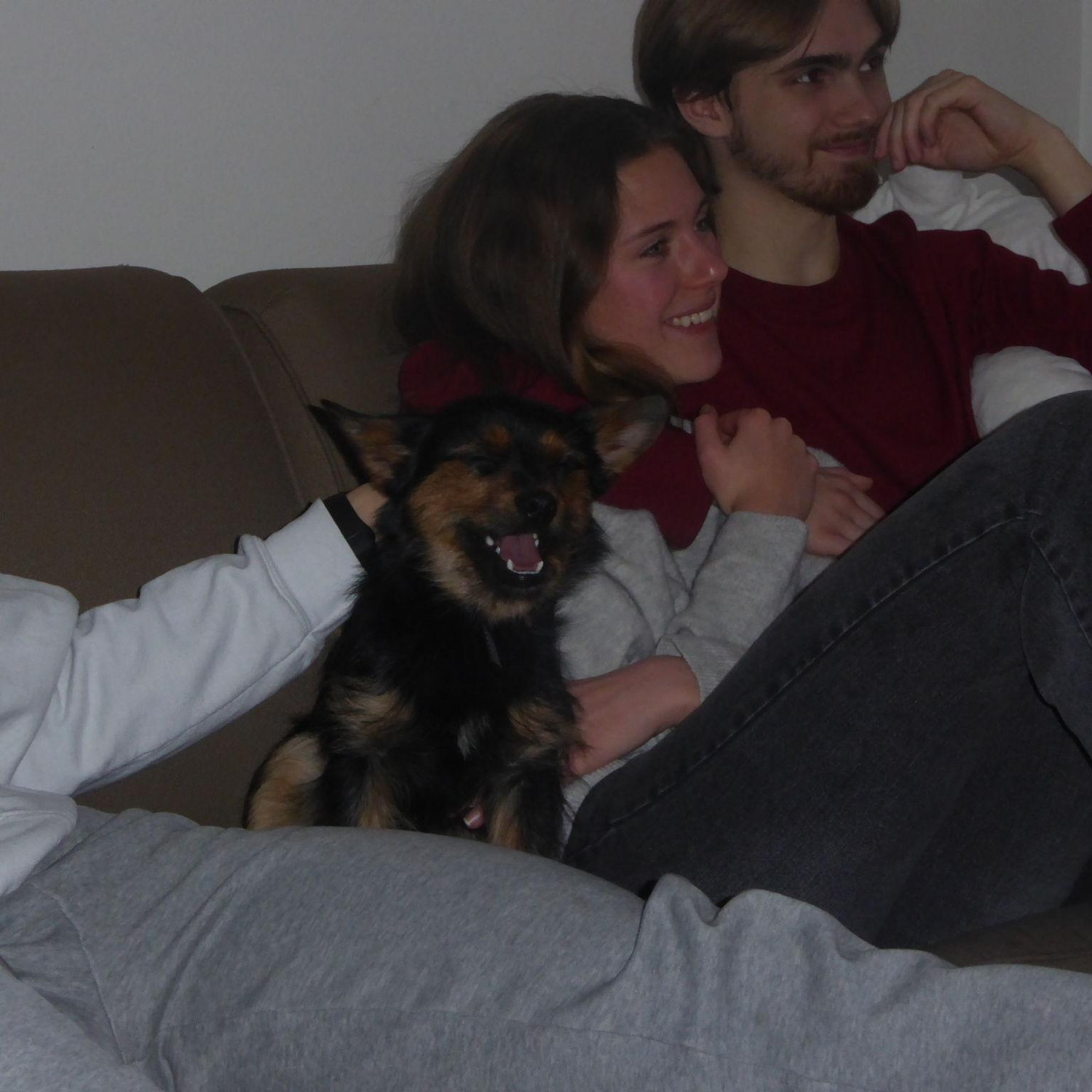 Our 5th favorite dog!