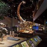 Perot Museum of Nature and Science