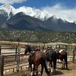 Hot Springs Stables
