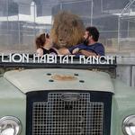 The Lion Habitat Ranch