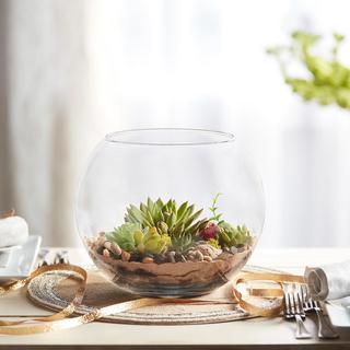 Bubble Ball Bowl, Set of 2