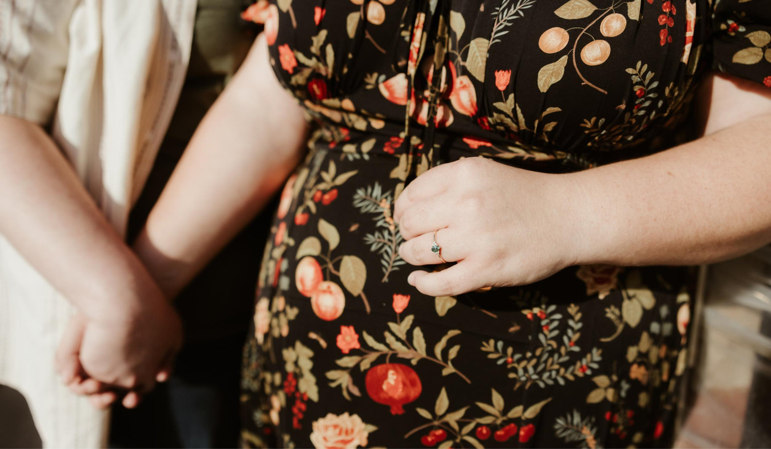 The Wedding Website of Sarah Wray and Cassandra Battistoni