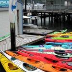 Kayak, Paddle board & Bike rentals