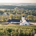 RdV Vineyards