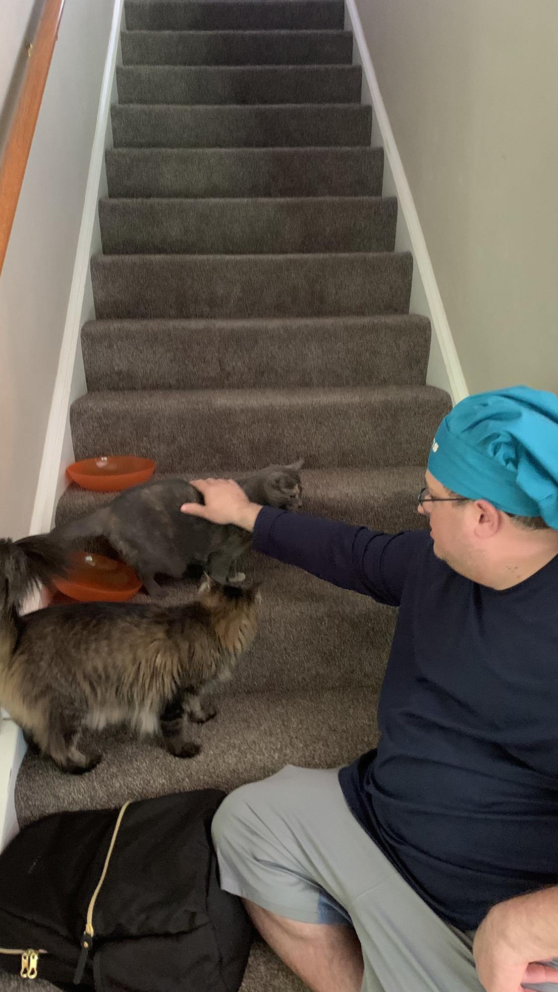 Zach and his newest feline family members - Midas and Sweet Pea.